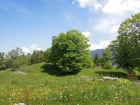 img/3D_Parcour_goetzi/image017.jpg