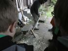 img/bauworkshop/image021.jpg